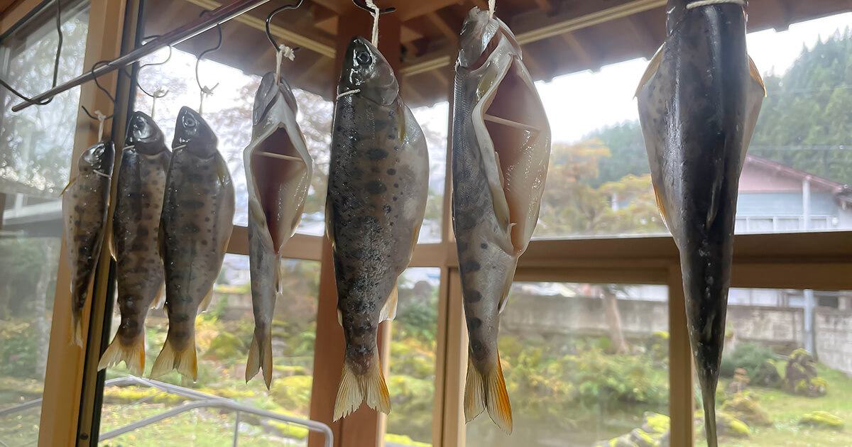 南蛮遍路 新装版/朝文社/松田毅一