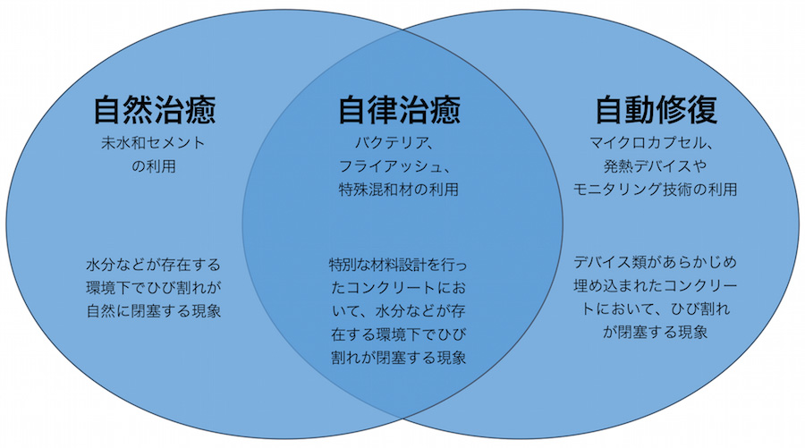 自己治癒の定義の図