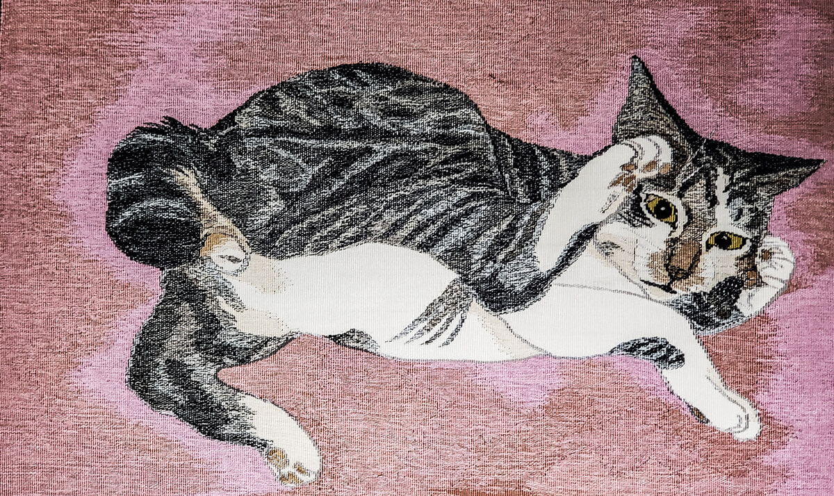 平野 喜久夫さん参考画像03